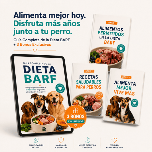 Guía Completa de la Dieta BARF | Nutrición Real y Vida Saludable